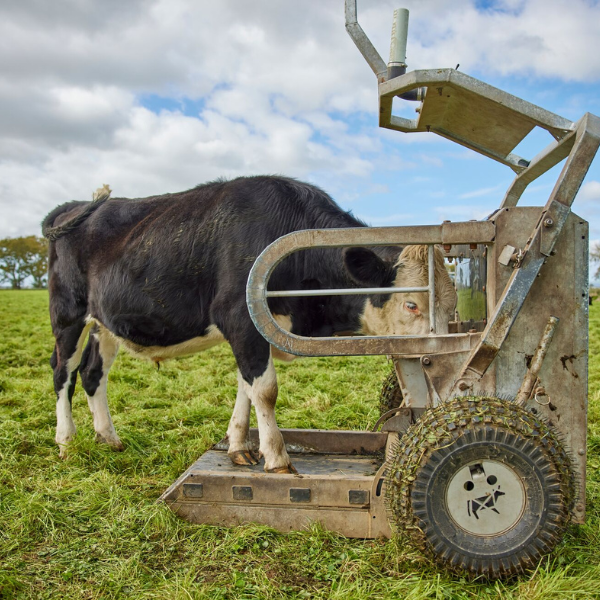 GNX Auto Weigher