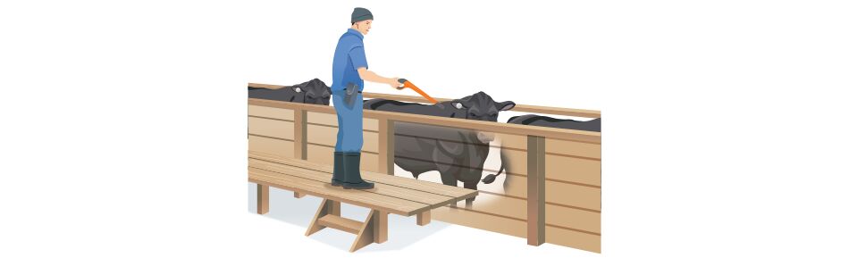 EID only-General Purpose EID only-General Purpose