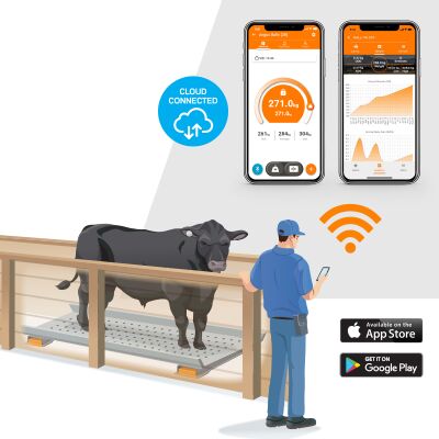 wireless weighing solution diagrams-1-General Purpose wireless weighing solution diagrams-1-General Purpose