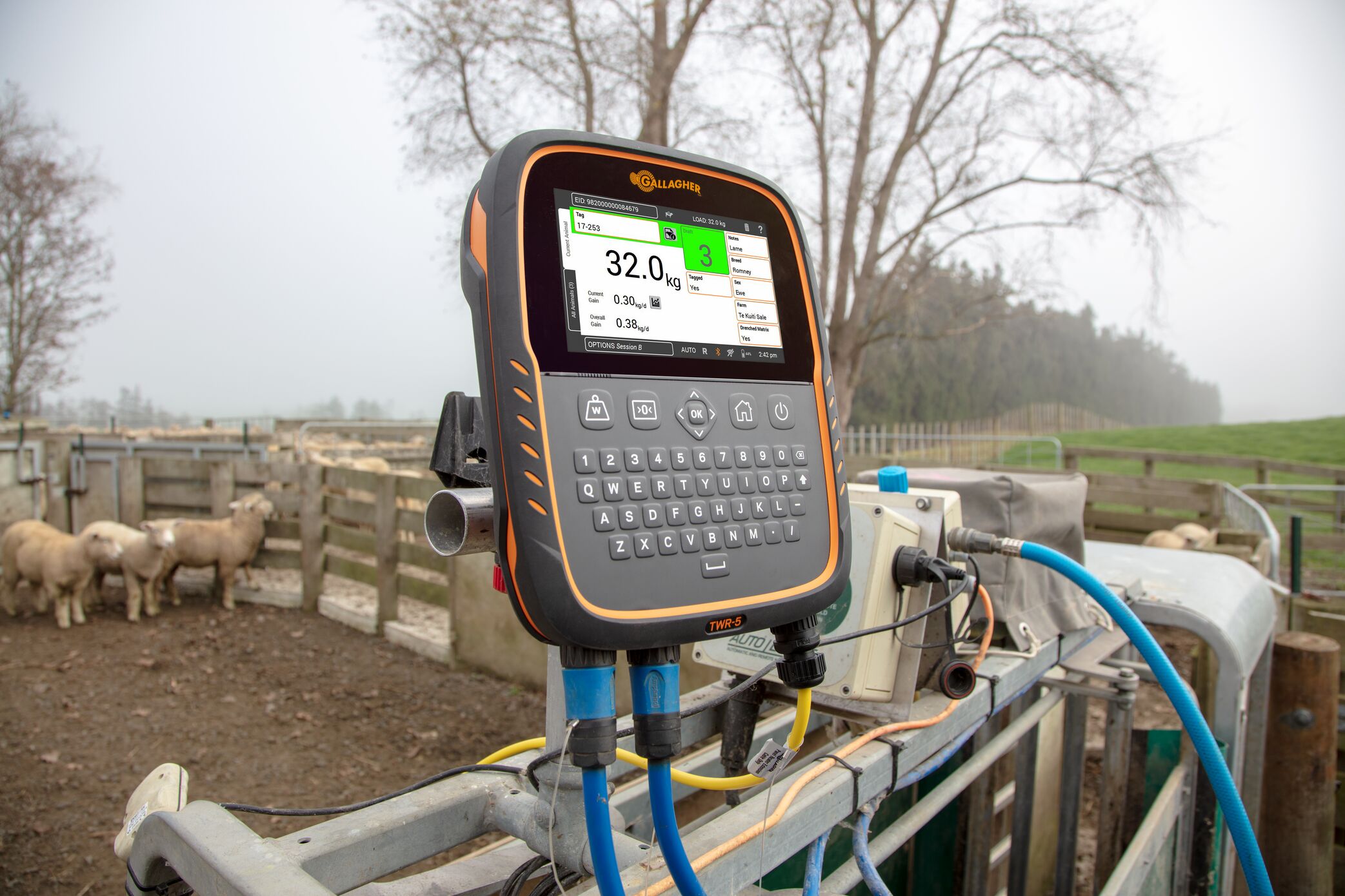 TWR-5 Prattley Sheep 1792-General Purpose TWR-5 Prattley Sheep on farm