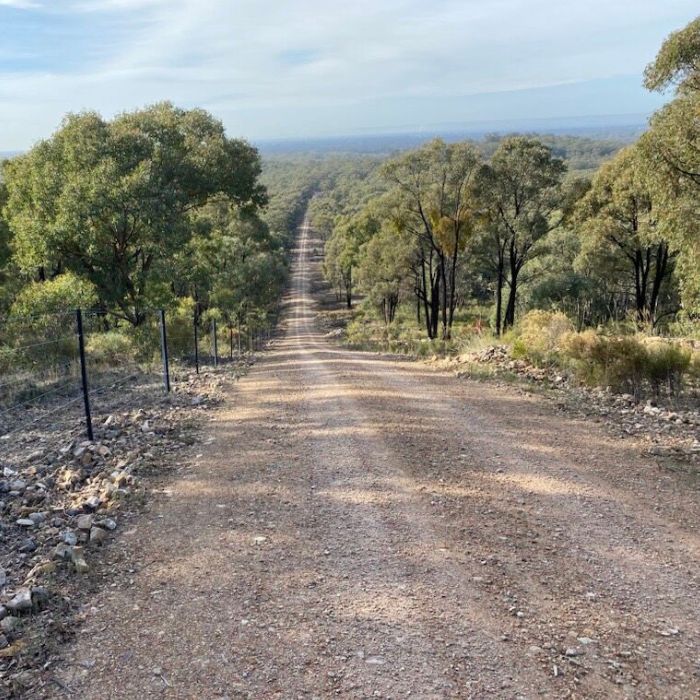 Image of a road with trees on either side