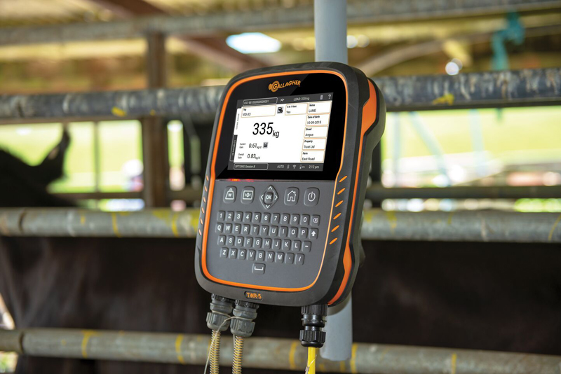 Using cloud technology for an easier weigh of life Using cloud technology for an easier weigh of life