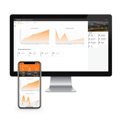 Animal Performance App on Smartphone and Computer Animal Performance app on smartphone and computer