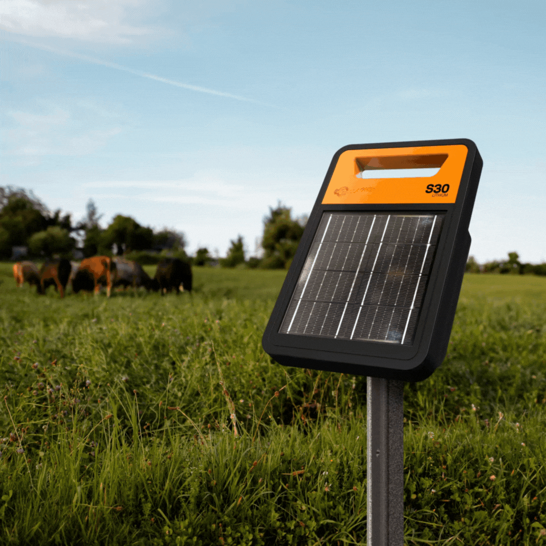 El poder del sol, con lluvia o con sol, de dia o de noche,