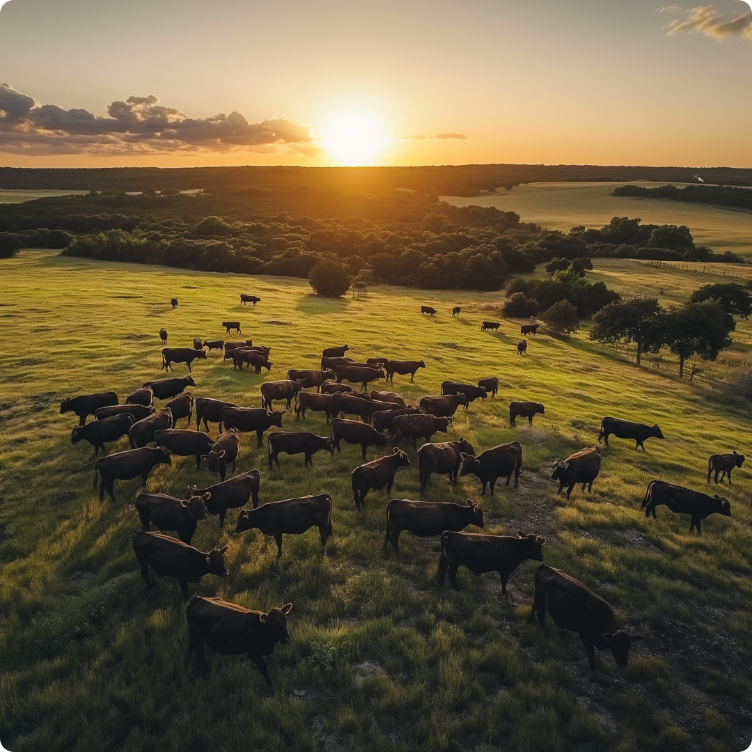 Farm landscape snippet 3