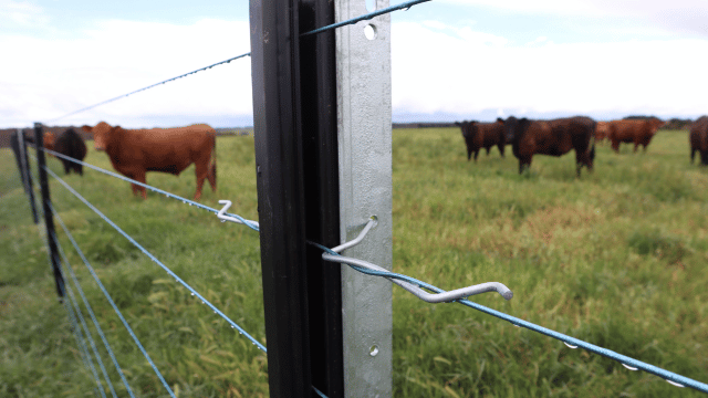 suspension snippet 1