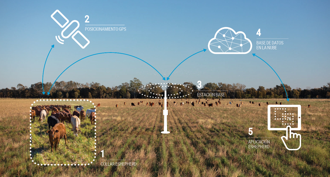 eShepherd ¿Cómo funciona?