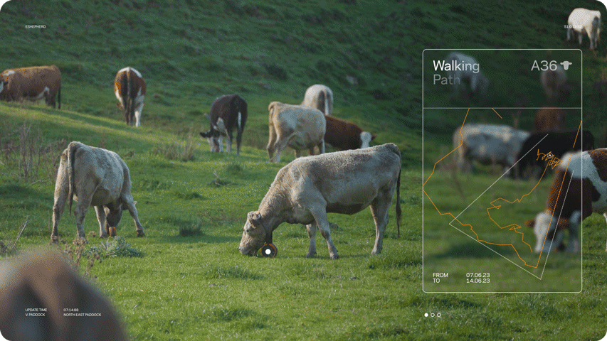 eShepherd Snippet - KM4