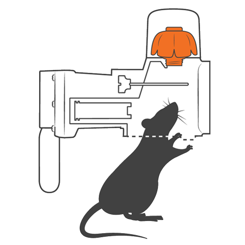 Goodnature trap how it works step 1
