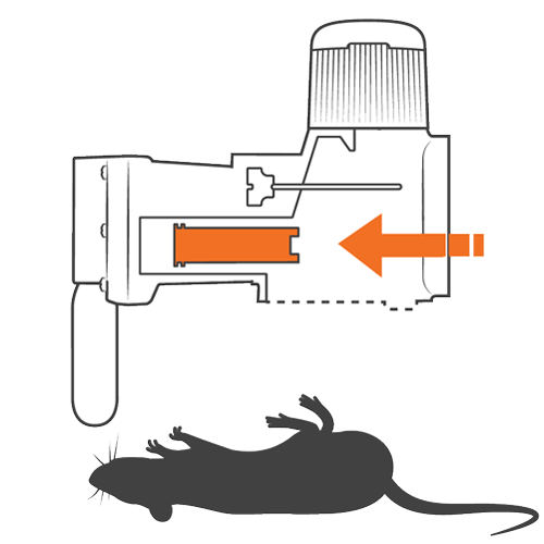 Goodnature trap how it works step 3