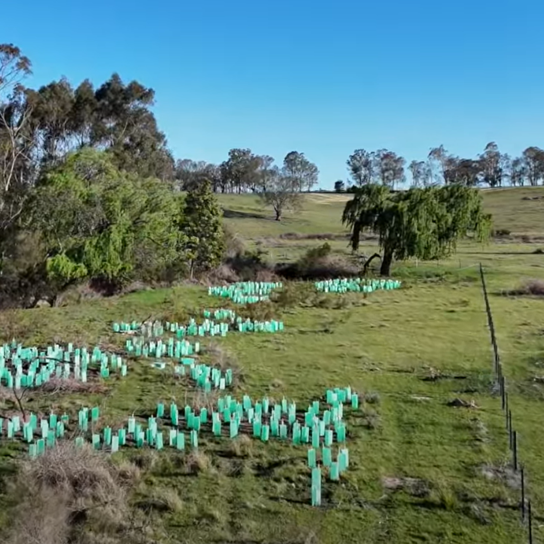 Balancing Productivity and Preservation